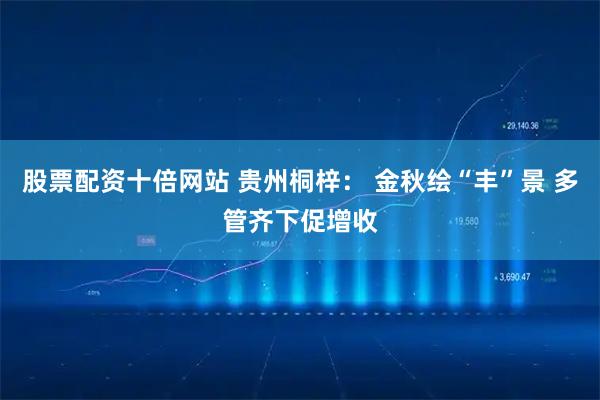 股票配资十倍网站 贵州桐梓： 金秋绘“丰”景 多管齐下促增收