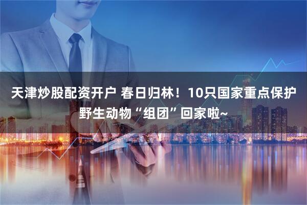 天津炒股配资开户 春日归林！10只国家重点保护野生动物“组团”回家啦~